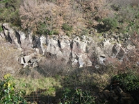 cantara piccole gole19022012 078